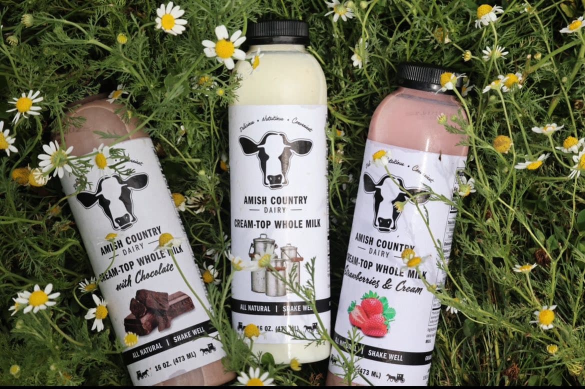 Amish Country Dairy, LaGrange County, Indiana