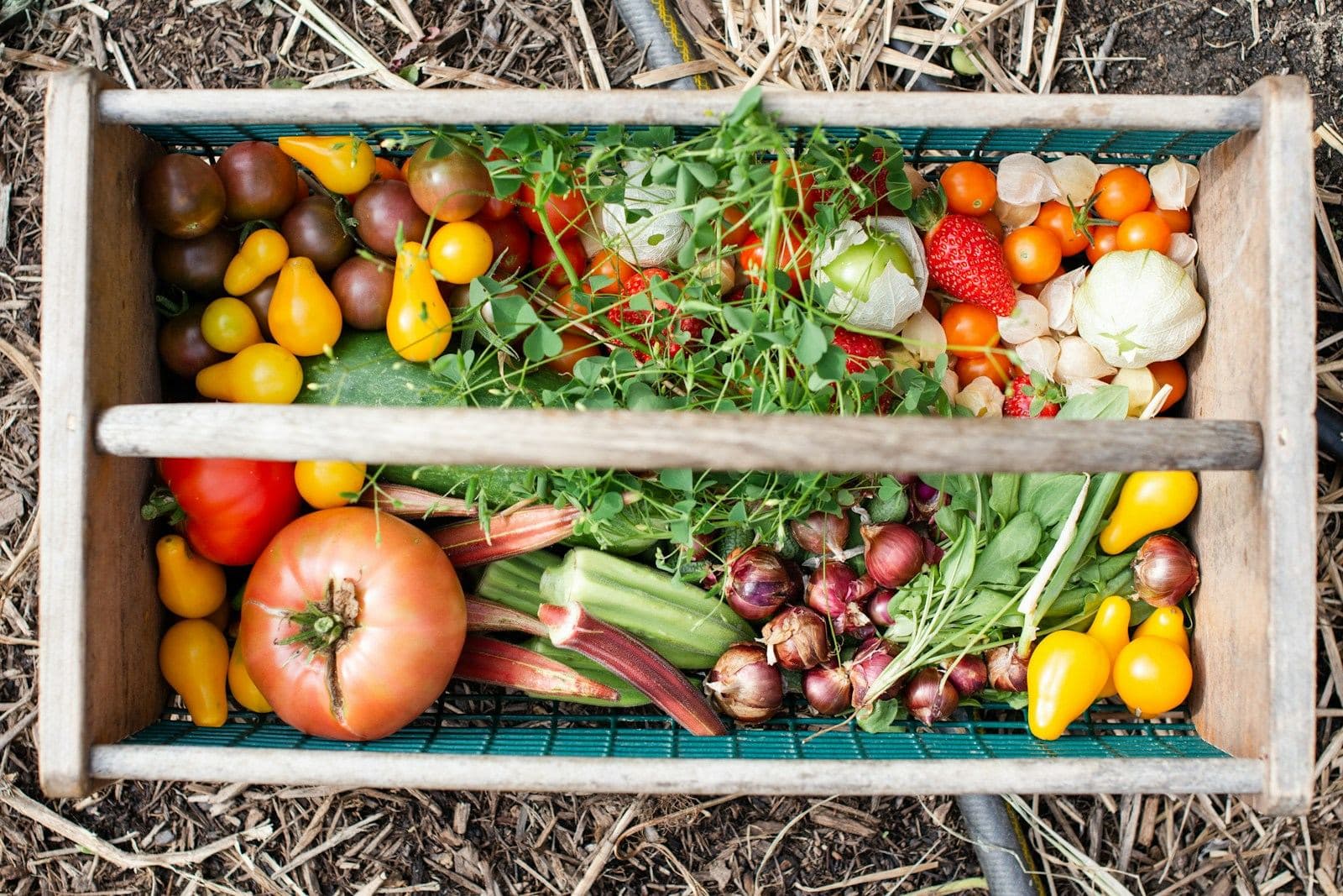 A wooden crate of tomatoes, peppers, onions and greens, seen from above